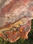 Large  Colorful  Utah Agate Slab Natural Red Gray Chalcedony Jasper Lapidary