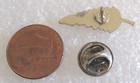 New Zealand Tourist Travel Souvenir Collector Pin - Silver Fern