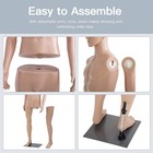 73 Inch Male Mannequin Full Body Dress Form Sewing Dress Model Mannequin Stand