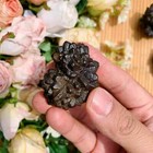 30g Raw Prophecy Stone Natural Crystal Specimen Healing Energy Reiki  Gifts