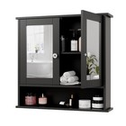 Bathroom Wall Mount Medicine Cabinet With Mirrored Door And Adjustable Shelf