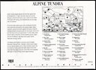 2007 Alpine Tundra 9th Nature Of America Series  Mnh Sheet 10 X 41   Stamps  4198