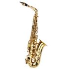 Professional Saxophone Sax Eb Be Alto E Flat Brass With Case care Kit