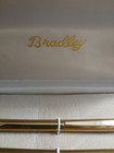 Vtg Bradley Goldtone Ballpoint Pen   Pencil Set With Case  Made In Usa 