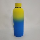 Disney Parks Water Bottle 16 Oz  Stainless Steel Walt Disney World Blue Yellow