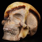 2 5  Dragon Septarian Stone Carved Crystal Skull  Realistic  Crystal Healing