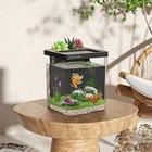 1 5 Gallon Betta Fish Tank Aquarium Kit With Filter Led Light  Water Pump  Fi   