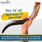 Halleluyah 28 -32  Shofar Set Yemenite Kudu Half Horn Plus Free Bonus Ram Horn