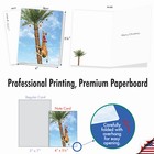 20 Asst d Christmas Note Cards W  Envelopes 2 Of Each  Holiday Tree Animals