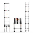 Sturdy Multi Purpose Stainless Telescopic Ladder Folding Extension Step Non-slip