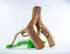 Manzanita Driftwood  Reptile Enrichment  Aquascaping  Aquarium D  cor 17 