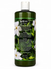 Wen By Chaz Dean Gardenia Green Tea Cleansing Conditioner  32 Fl Oz   946 Ml New