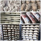 Kolice Commercial 3 Trays Blast Freezer  Blast Chiller  Batch Freezer For Hotels