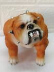Extreme Bulldog Muscle Bodybuilding Dog Statue Collectible Figurine W gift Box
