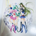 Sailor Moon Raisonne Art Works 1991-2023 Japanese Illustration Book New