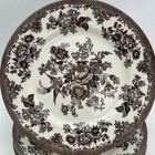 1 Royal Stafford Asiatic Pheasant Brown Transferware Dinner Plate 11    England