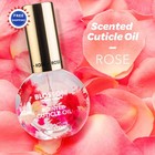 Blossom Cuticle Oil 0 5 Fl Oz Pack Nails Hydrating Moisturizing Scented Care