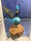 Peacock Handmade Crafted Designed Display Ornament Home Decor Peacock Bird Cute