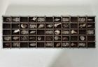 Drawer Wood Type Tray Lined With Tin Shadow Box  For Shells Specimens Included