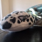 Melissa   Doug Giant 30  Lifelike Sea Turtle Plush Stuffed Animal Soft Toy Euc