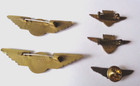 Air-lines Logo Enamel   Plastic  Lapel  Badges