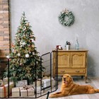 Pet Playpen Dog Exercise Barrier Fence Garden Crate Metal Cage 28 x47  8 Panel