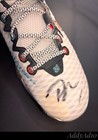 Giannis Antetokounmpo Auto Signed  1  Shoe Nike Immortality 3 Beckett Witnessed