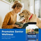 Nutri Vet Senior Dog Multivitamin Chewable Tablets 120 Count Liver Flavor