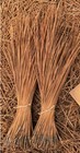Long Leaf Pine Needles For Basket Making Basket Weaving Basketry 16oz Per Bundle