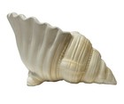 Ceramic Lg Vtg Cream Tan  Conch Shell Planter Vase Beach Decor Coastal T215