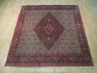 8x8 Authentic Hand Knotted Fine Oriental Bijar Rug B-72341