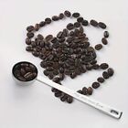 Stainless Steel Blending Powder Spoon Measuring Spoon 1 Tablespoon Coffee Scoop