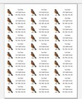 150 American Robin Connecticut Bird Mailing Return Address Labels Personalized