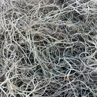 1 Qt  Fresh Florida Live Spanish Moss Air Plant Decorative Garden Craft Basket