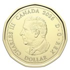 2026 Canada Fifa World Cup Coloured Loonie 1 Dollar Mint Unc  1 Colored Coin