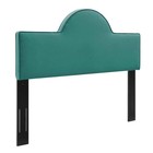 Modway Mod-6302-tea Dawn Twin Velvet Headboard  Teal