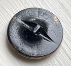 Medium Size Antique Black Glass Button With A Fabulous Creature  Gold Luster