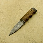 8 Inches Celtic Scottish Dirk Sgian Dubh Dagger Bone Handle Knife 