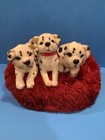 3 Dalmatian Puppies With Bed