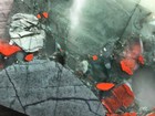 Cherry Orchard Swazi Bloodstone Volcano Jasper Agate 5 5 x3 8  Rough Slab Co2