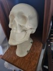 Vintage Mortician   s Restorative Art Head Skull   Roll Of Sculpting Tools   Case