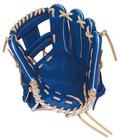 Rawlings Hoh   Pro Excel Elite Baseball Glove  Softball  Infielder s  Royal  11 _