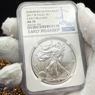 Burnished 2017 W  1 Silver Eagle Er Ngc Ms Blue Classic Label Spotless Rare Mint