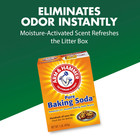 Arm   Hammer Multiple Cat Litter Deodorizer With Baking Soda 30 Oz  1 Lb  14 Oz 