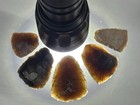 Great Lot Of Translucent Knife River Flint Thumb Scrapers From North Dakota  13