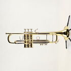 Bach Model 18043 Stradivarius Professional Bb Trumpet Sn 792866 Open Box