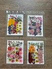 Dried Flowers 