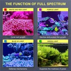 Phlizon 300w Marine Led Aquarium Light 48  4  Full Spectrum Reef Coral Fish Tank