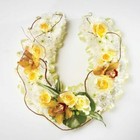 Floral Foam Horse Shoe  19    Funeral Memorial Tribute Oasis Type Sku 1161