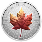          Canada  20 Dollar Coin  Pure Silver Maple Leaf Sml  Ultra High Relief  2026